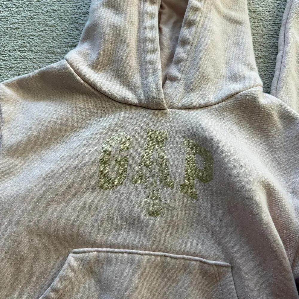 Baby Gap Jogger Set Disney Hoodie and Sweatpants Pink Girls 2T
